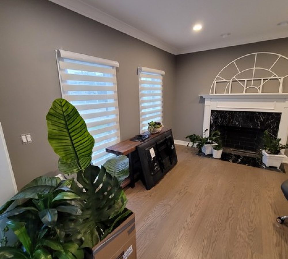 Modern open space with dual-shade blinds and accent wall